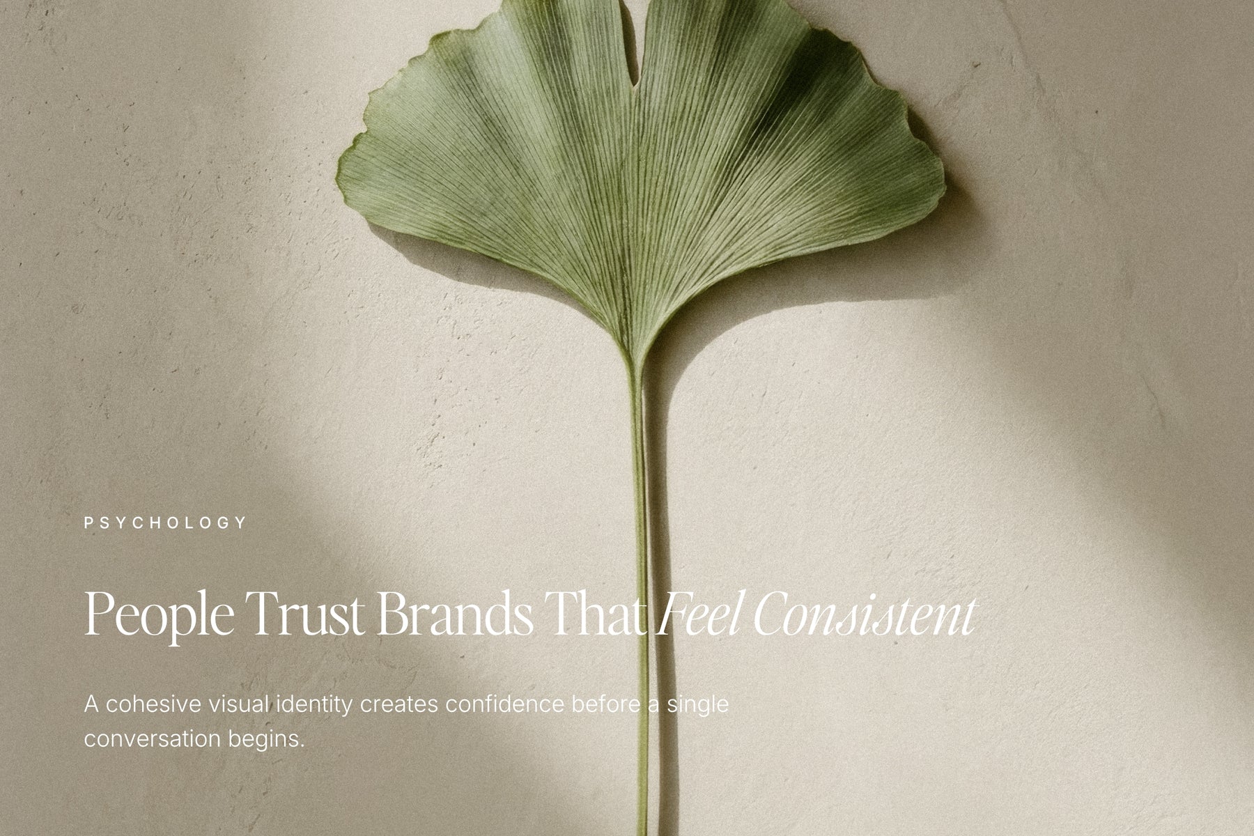 The psychology of a strong logo — Allure editable logo templates