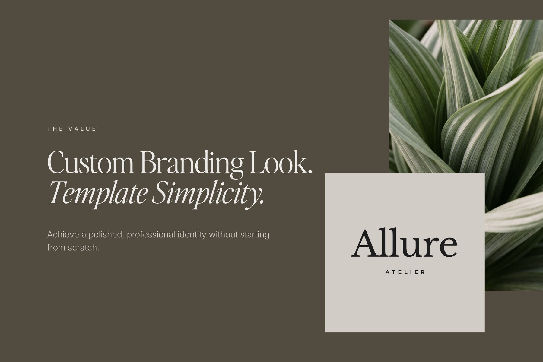 The value of a professional logo without the designer price tag