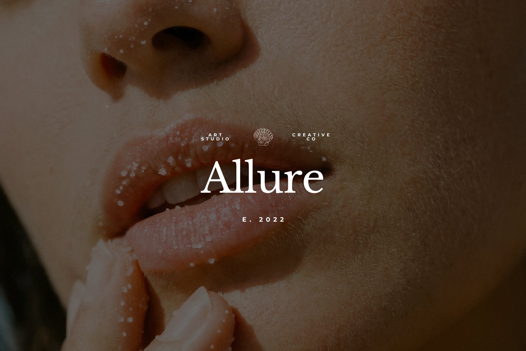 What's included in the Allure logo set — logos, submark and branding kit