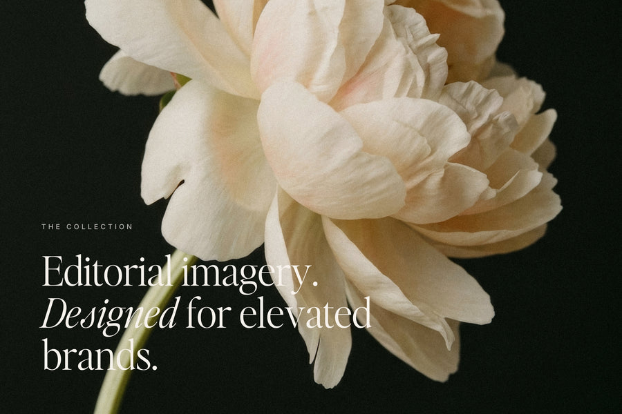 Allure luxury stock image — minimal editorial photography for brands