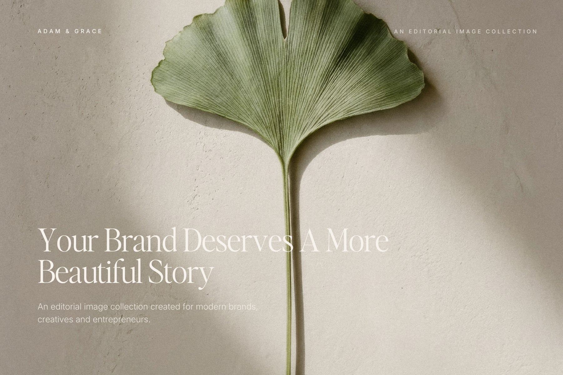 Allure editorial stock photo — luxury, minimal imagery for designers