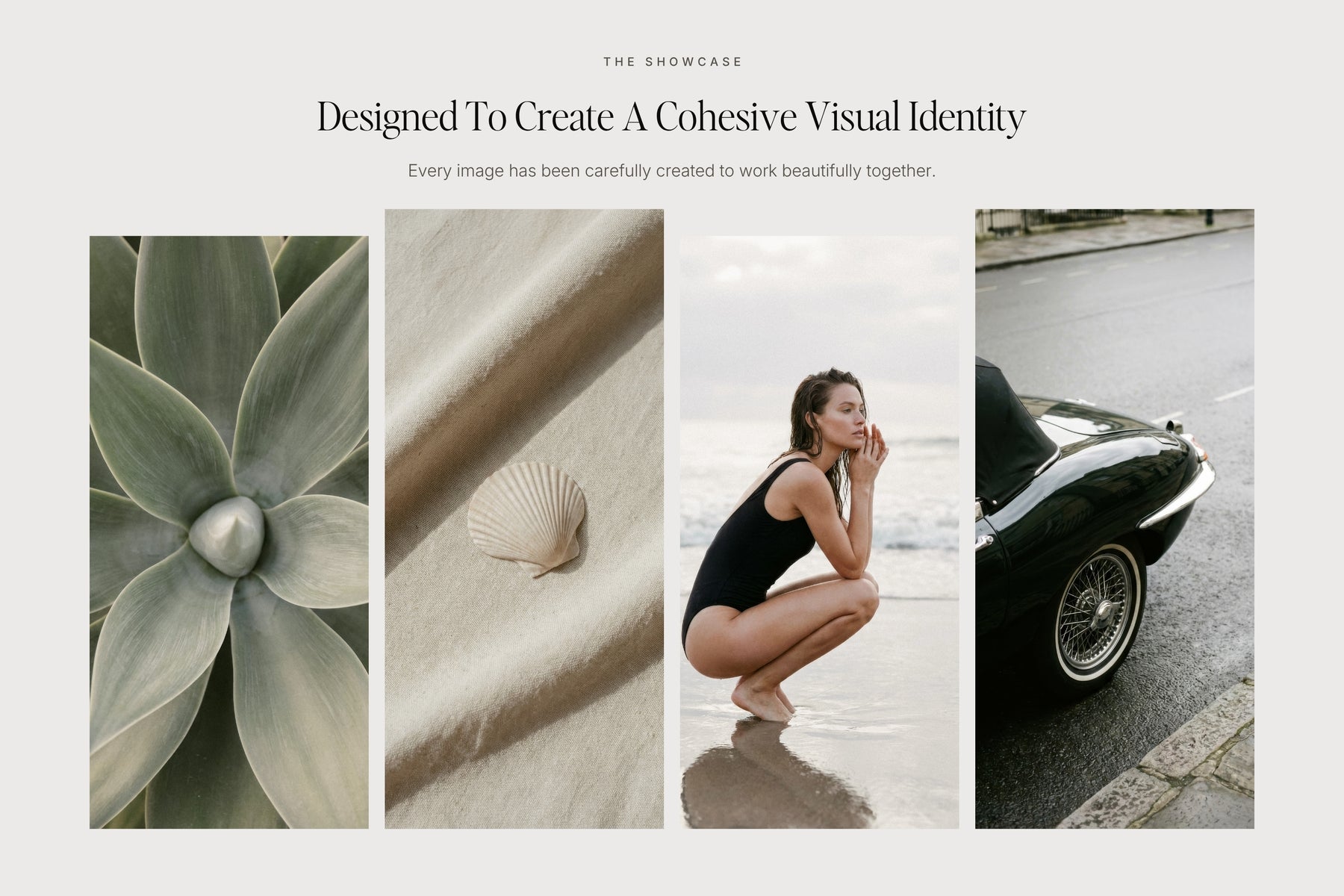 Allure high-end stock image — moody editorial brand photography