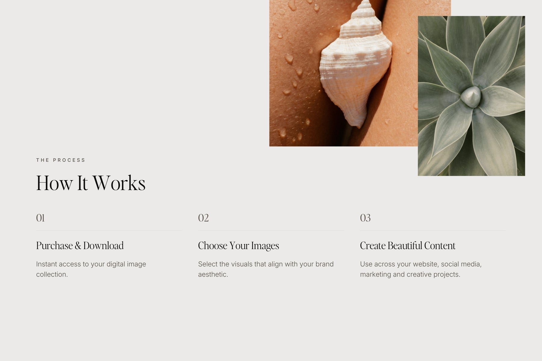 Allure minimal, timeless stock photo — high-end brand photography
