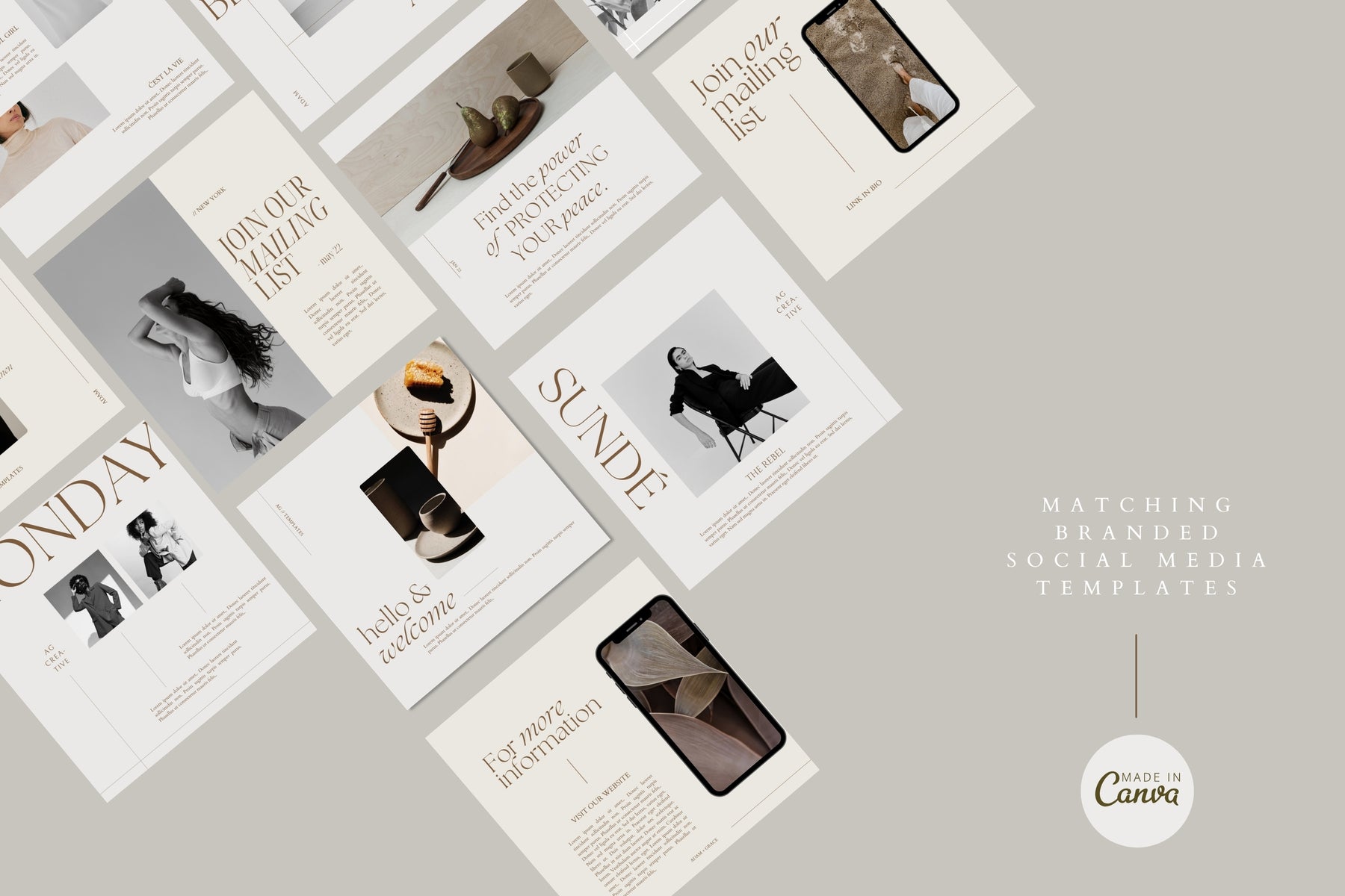 Cohesive Zephyr brand assets working together