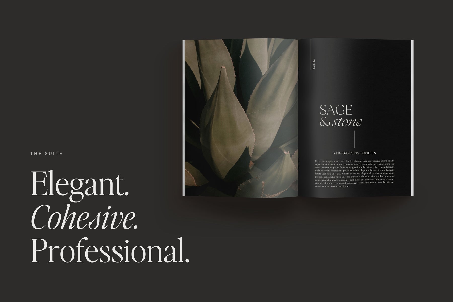 Elegant, cohesive and professional Zephyr branding