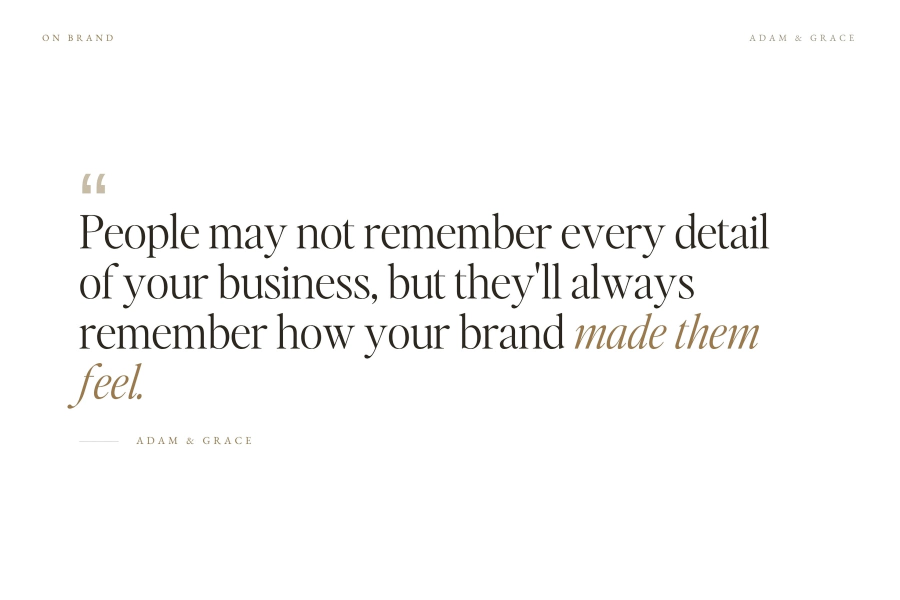 Five-star customer review of the Zephyr logo set