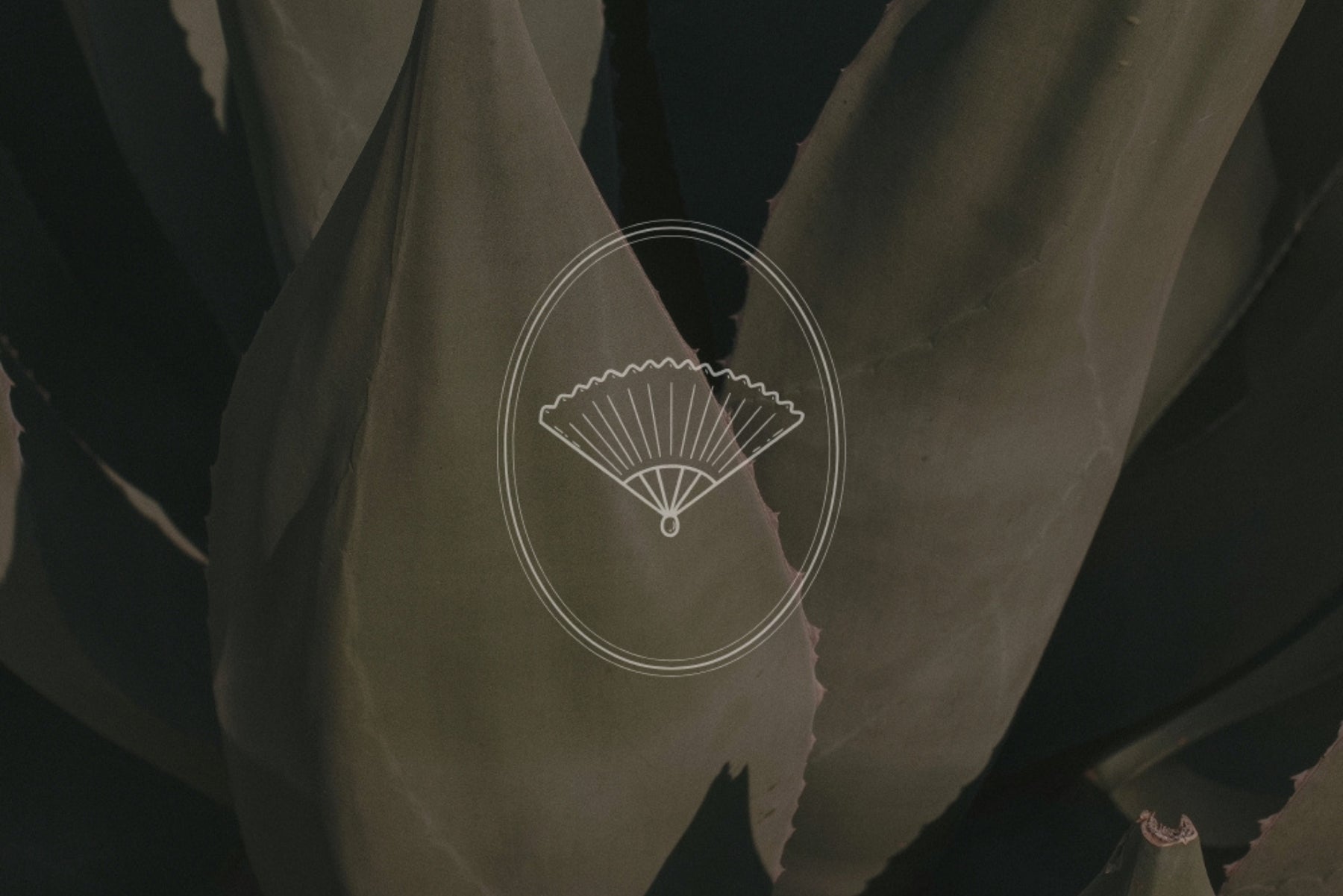 Moody botanical image with the Zephyr fan emblem, part of the brand kit aesthetic
